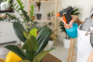 Young woman spraying plant with water at home, closeup