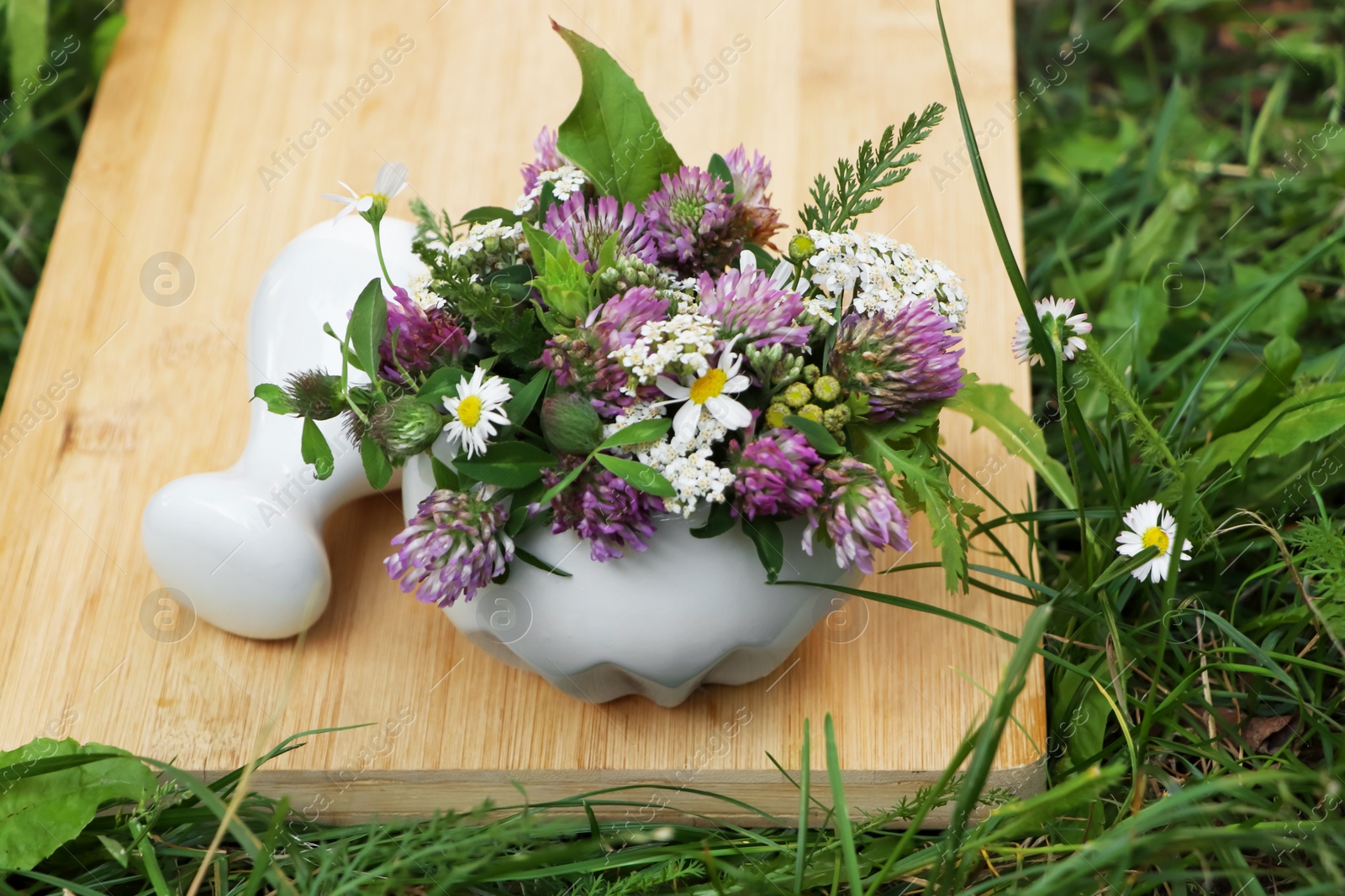 Photo of Ceramic mortar with pestle, different wildflowers and herbs on green grass