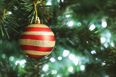 Beautiful holiday bauble hanging on Christmas tree, closeup