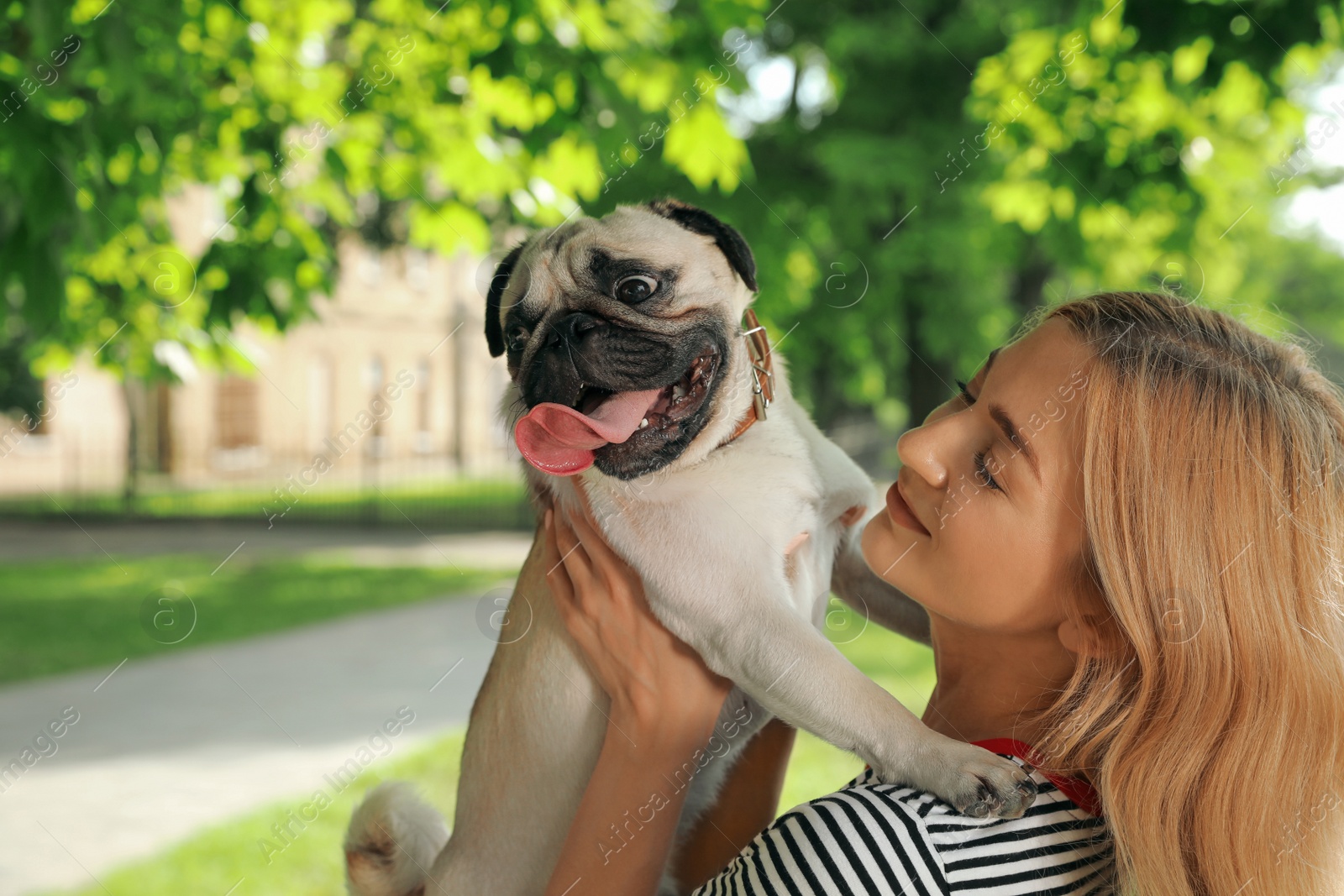 Photo of Woman with cute pug dog outdoors on sunny day. Animal adoption