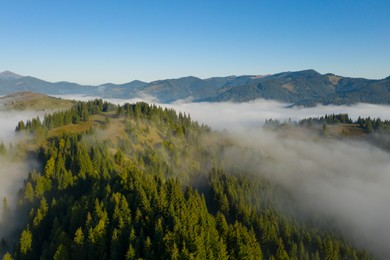 Image of Aerial view of beautiful landscape with misty forest