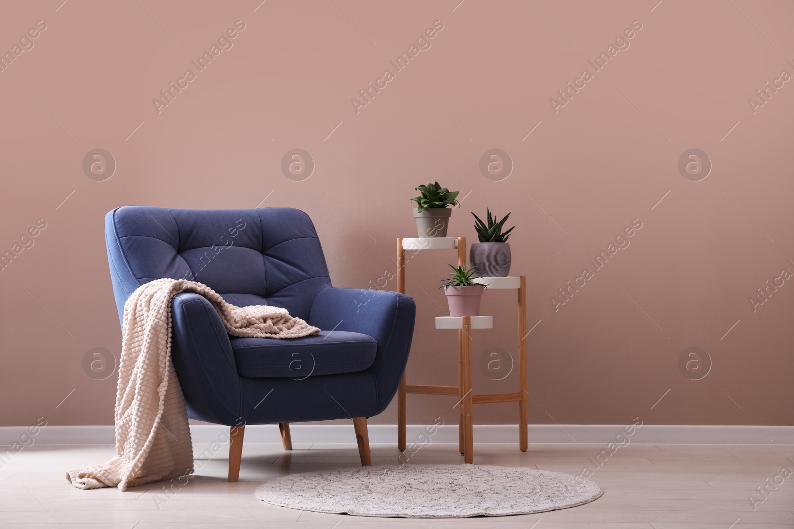 Photo of Comfortable blue armchair with blanket and beautiful plants near pink wall indoors