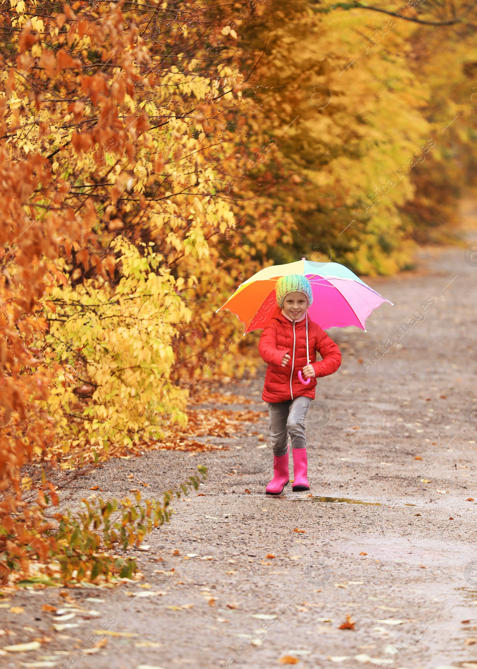 Photo of Little girl with umbrella taking walk in autumn park on rainy day