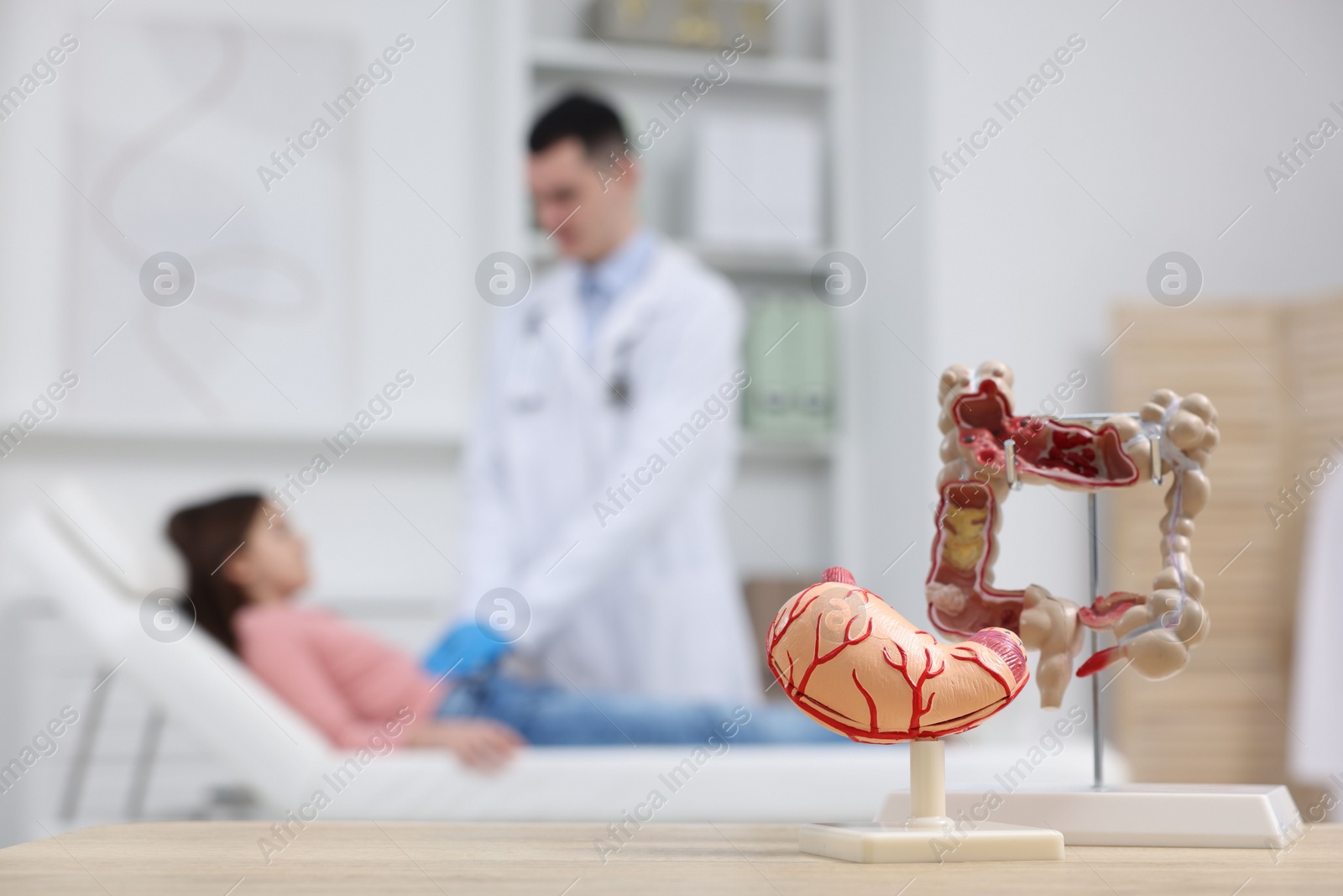 Photo of Gastroenterologist examining girl in clinic, focus on models of stomach and intestine on table