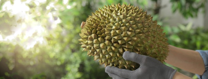 Image of Woman in gloves holding fresh ripe durian outdoors, closeup view with space for text. Banner design