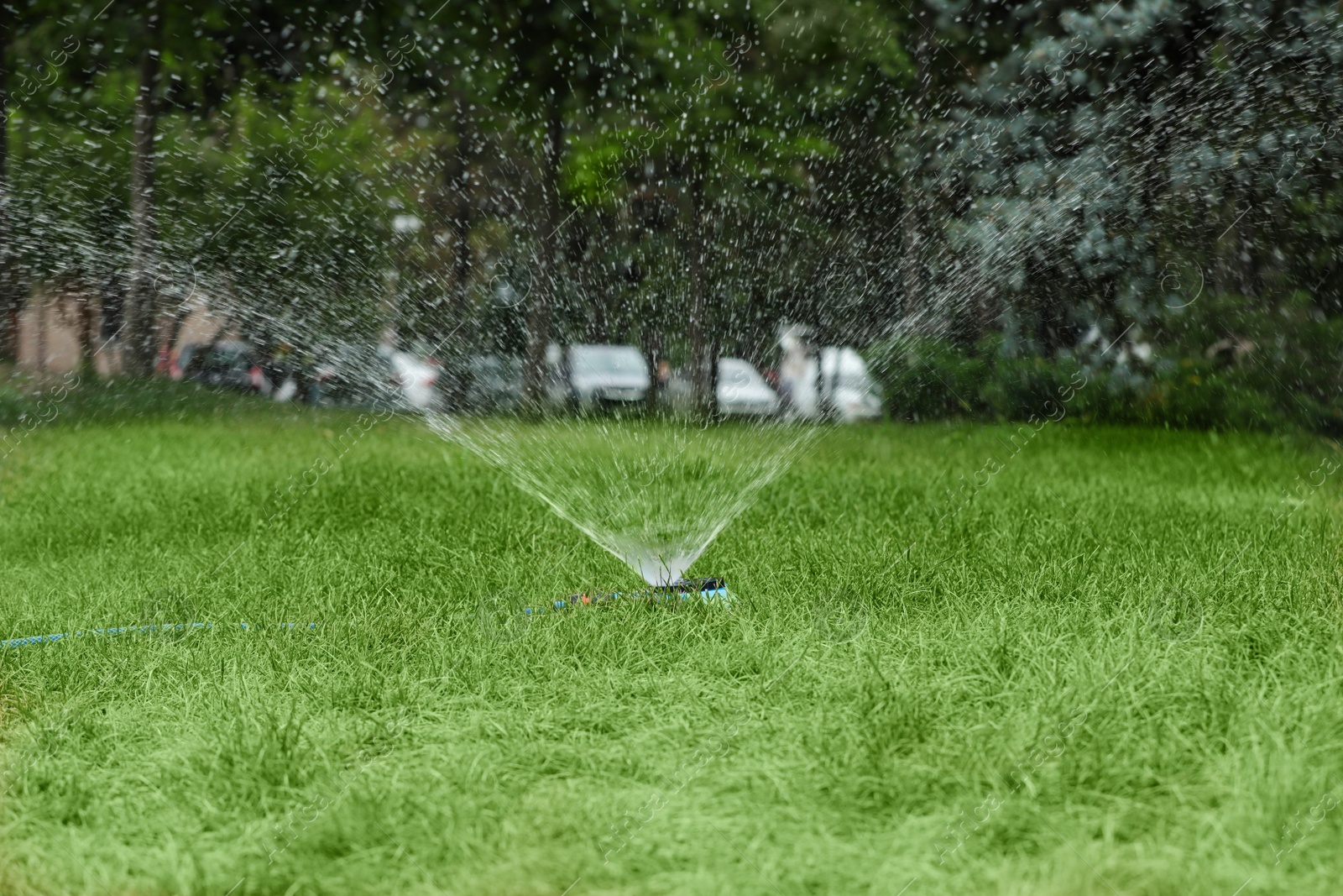 Photo of Automatic sprinkler watering green grass in park. Irrigation system