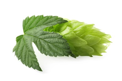 Photo of Fresh green hop with leaf on white background