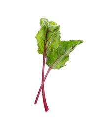 Leaves of fresh beet on white background