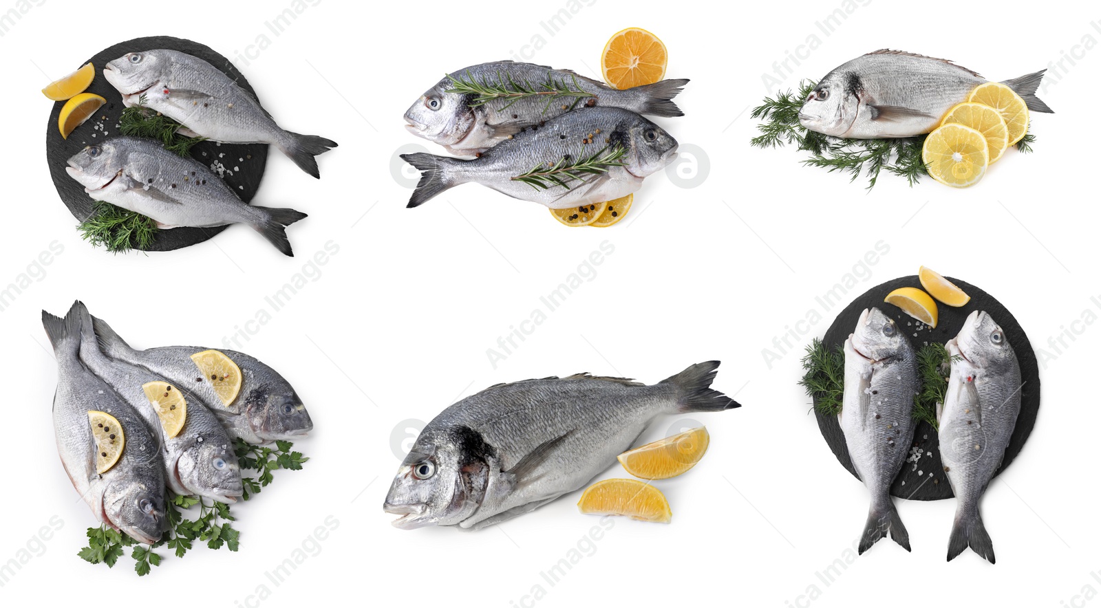 Image of Raw dorada fish isolated, lemon and spices on white, set