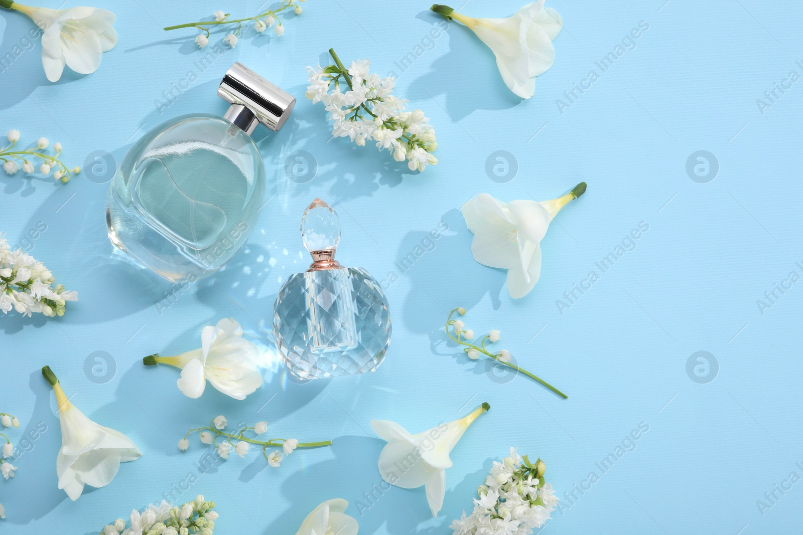 Photo of Luxury perfumes and floral decor on light blue background, flat lay. Space for text