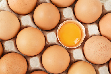 Photo of Raw chicken eggs in carton tray, top view