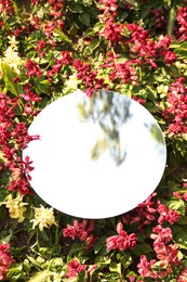 Photo of Round mirror among flowers reflecting tree and sky on sunny day