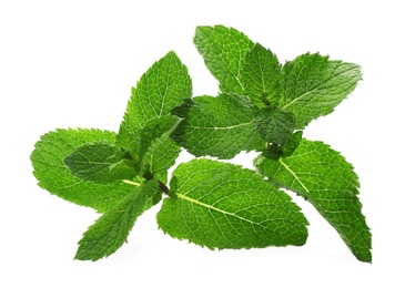 Photo of Fresh green mint leaves on white background