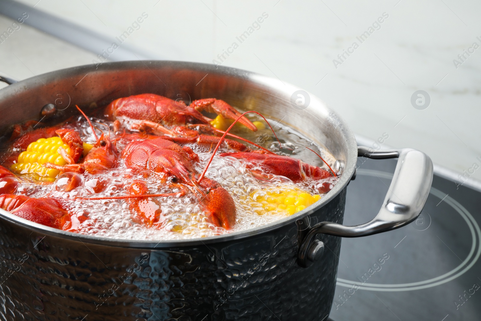 Photo of Fresh delicious crayfishes in boiling water on stove