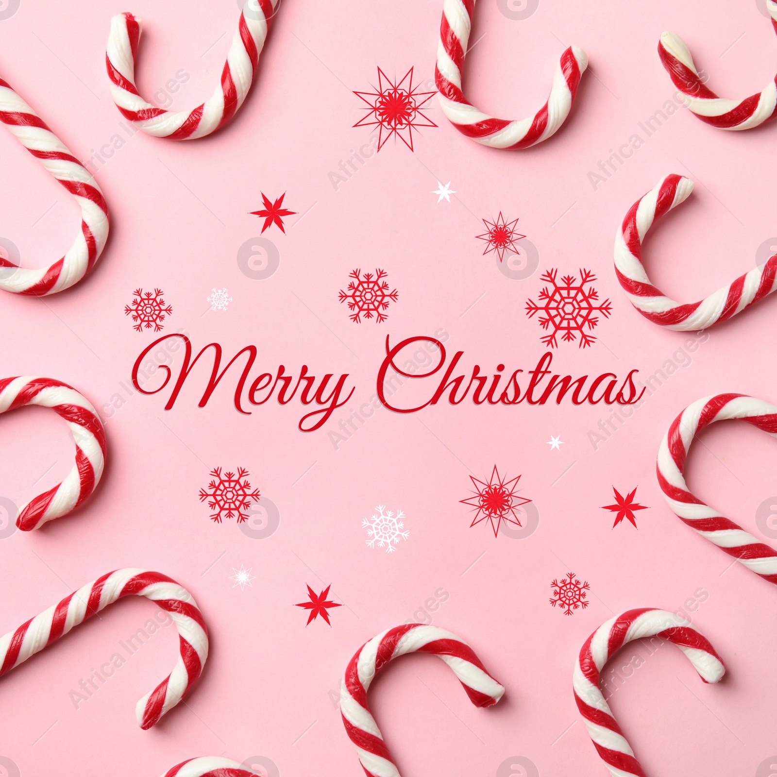 Image of Flat lay composition with text MERRY CHRISTMAS and candy canes on pink background