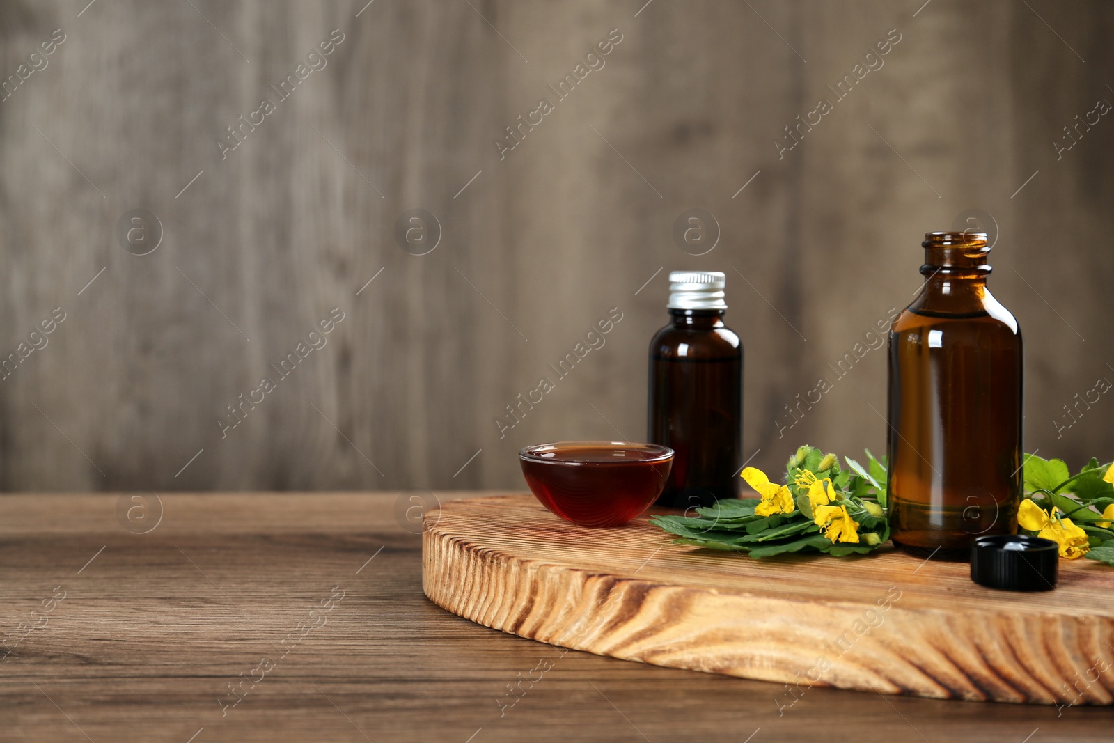 Photo of Bottles and bowl of celandine tincture with  plant on wooden table, space for text