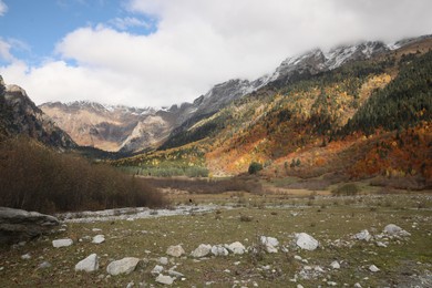 Picturesque view of mountain landscape with forest and meadow on autumn day