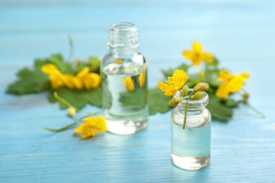 Bottles of natural celandine oil and flowers on light blue wooden table, closeup