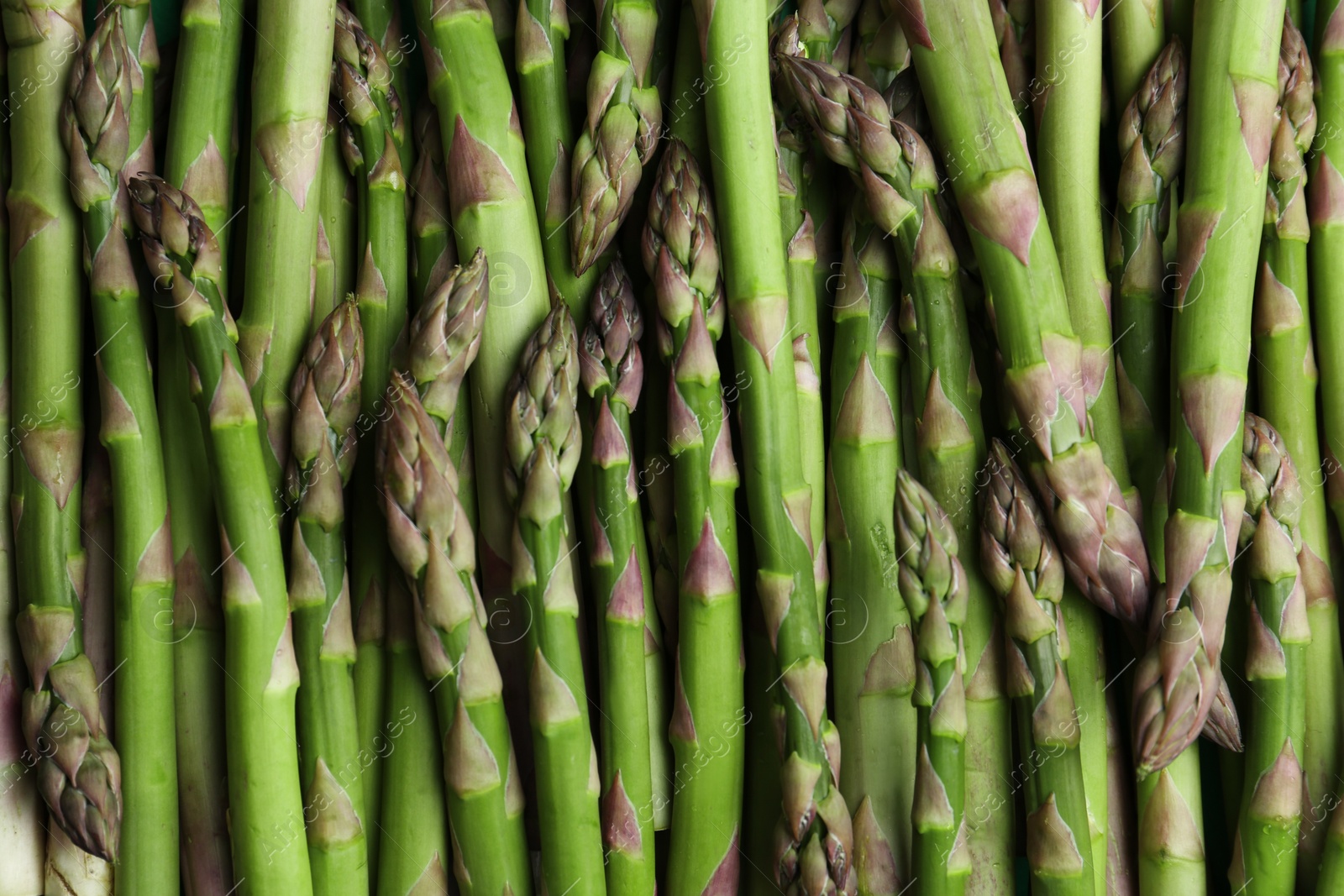 Photo of Fresh raw asparagus as background, top view