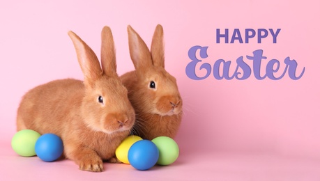 Image of Happy Easter! Cute bunnies and dyed eggs on pink background