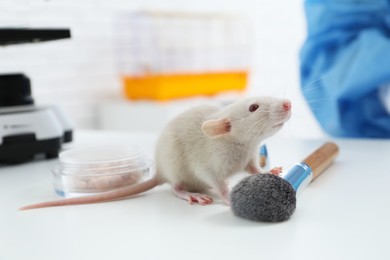 Photo of Rat and makeup products on table in chemical laboratory. Animal testing