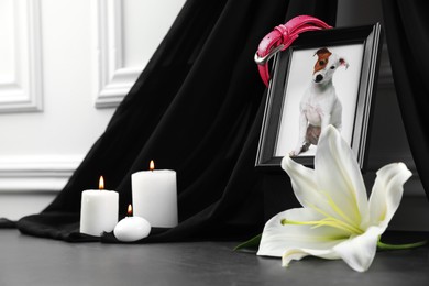 Photo of Frame with picture of dog, collar, burning candles and lily flower on grey table, space for text. Pet funeral