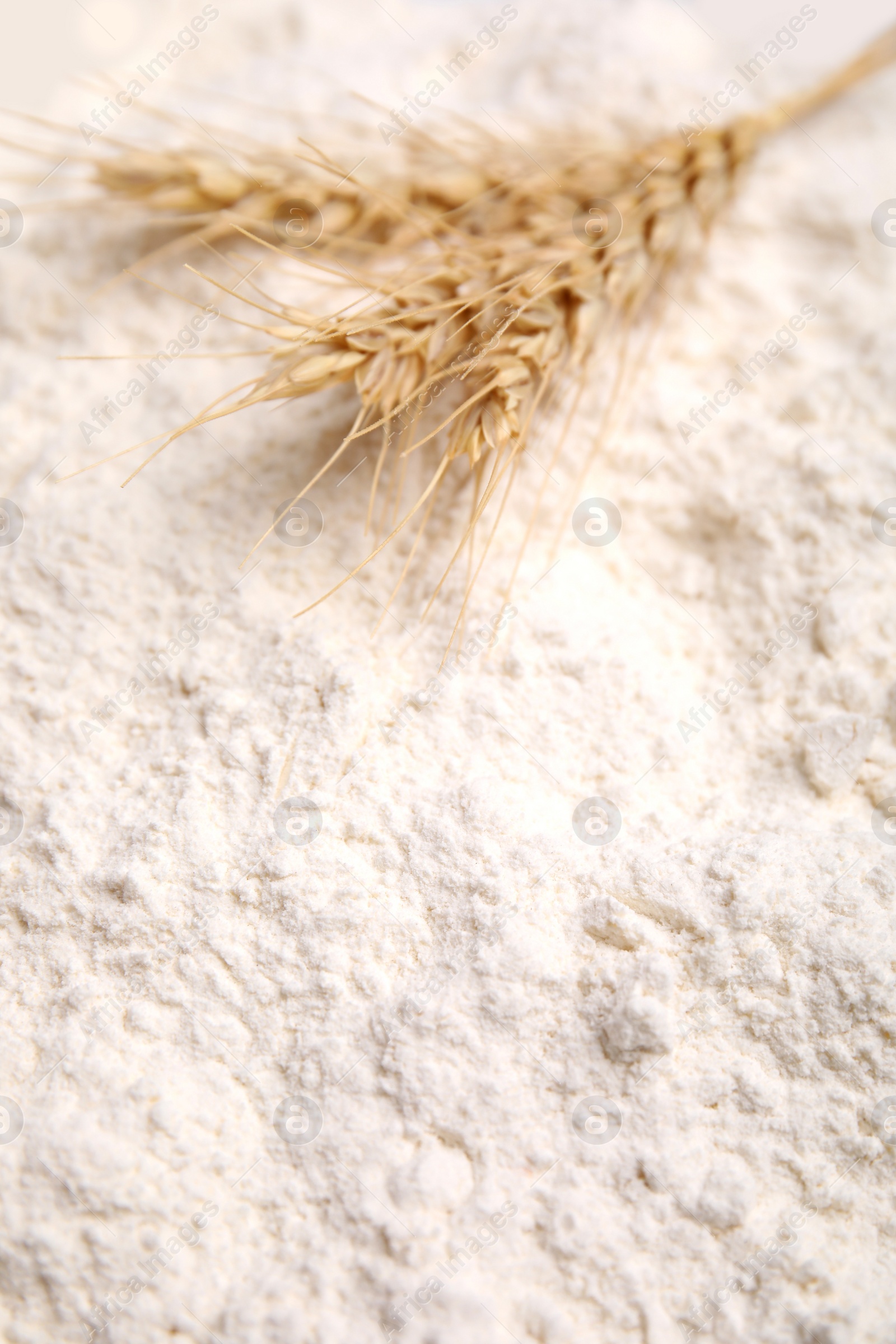 Photo of Spikes on wheat flour as background, closeup