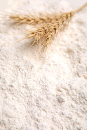 Photo of Spikes on wheat flour as background, closeup