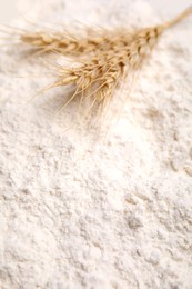 Spikes on wheat flour as background, closeup