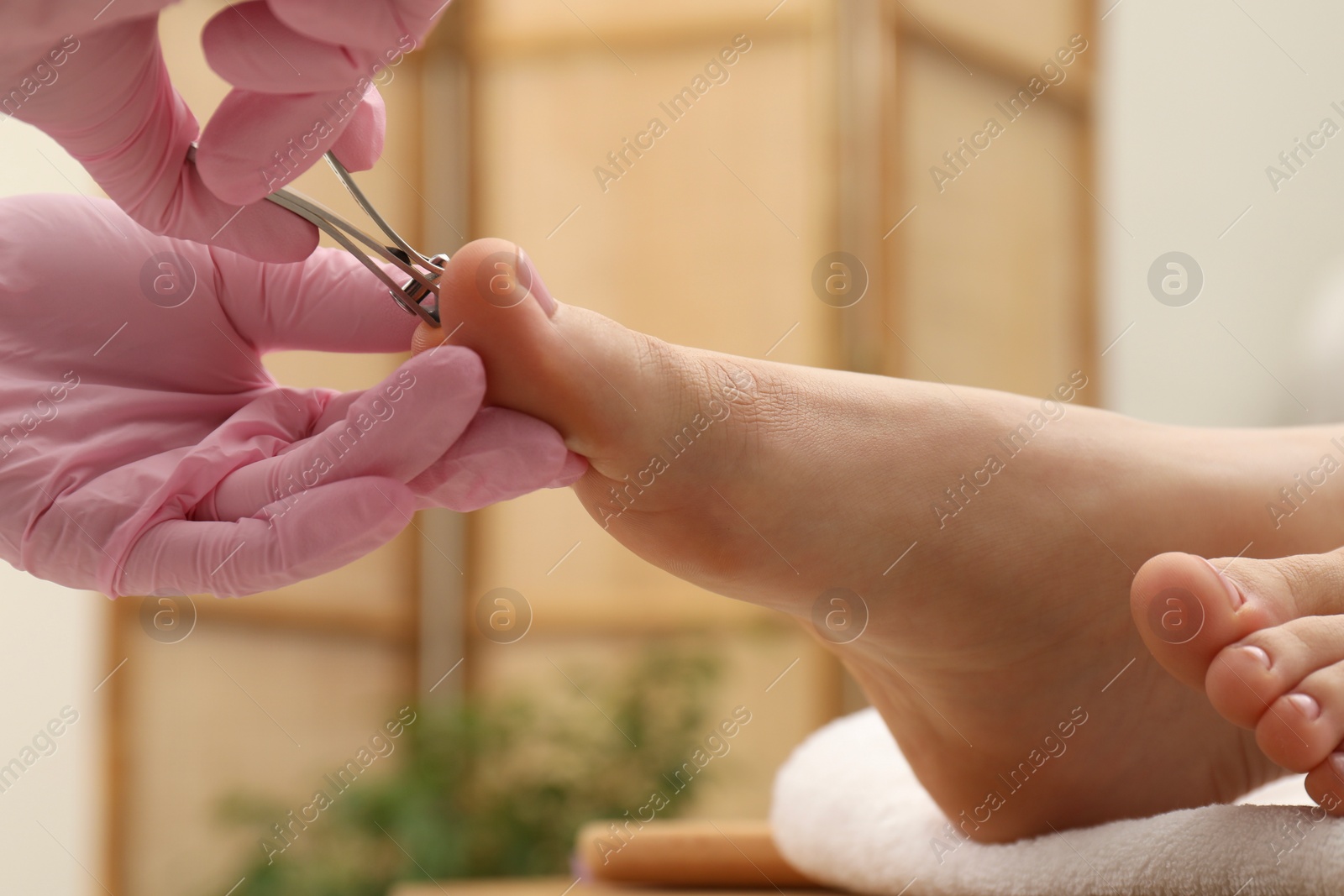 Photo of Professional pedicurist cutting client`s toenails with clipper in beauty salon, closeup