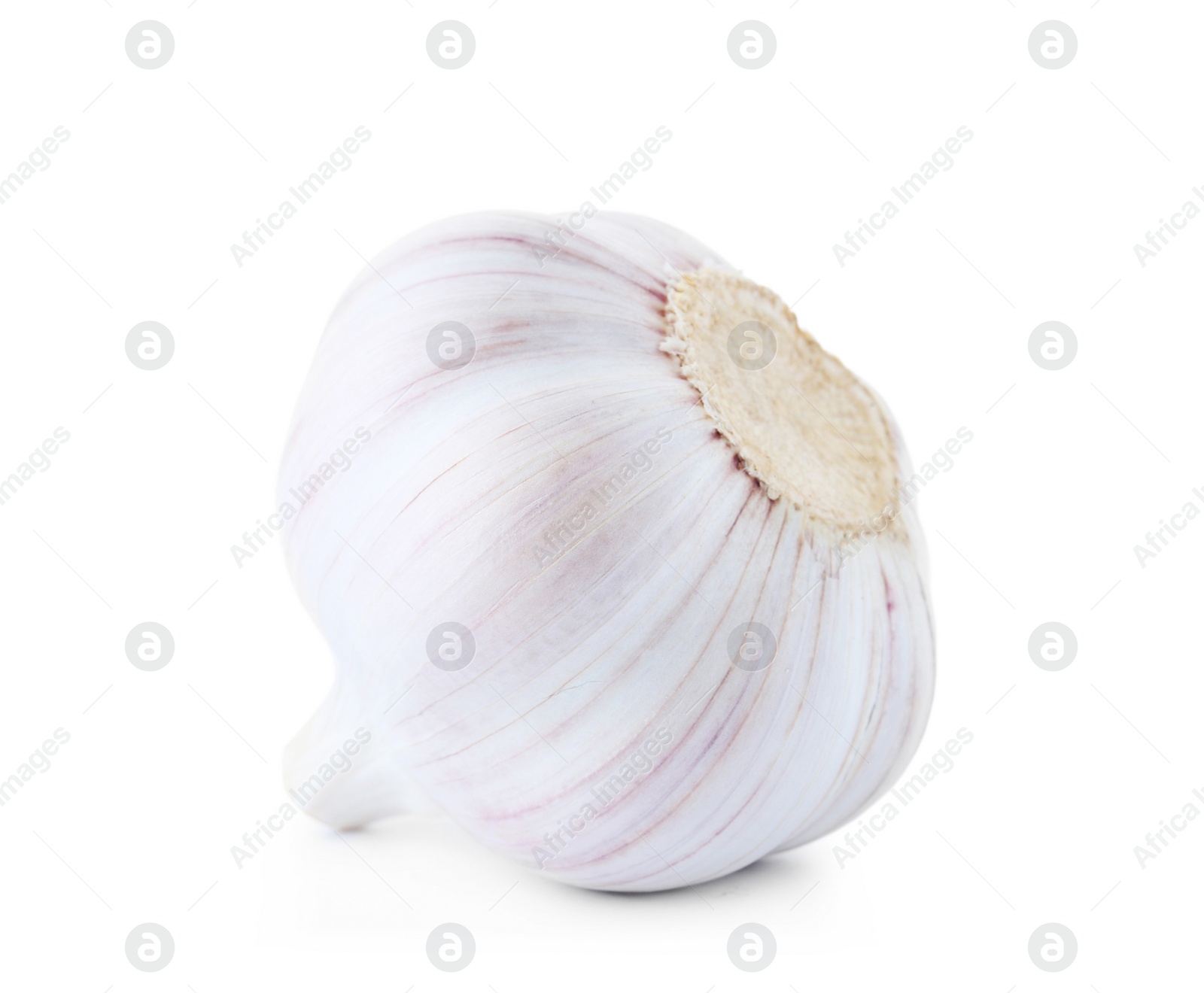 Photo of Fresh garlic on white background. Organic food