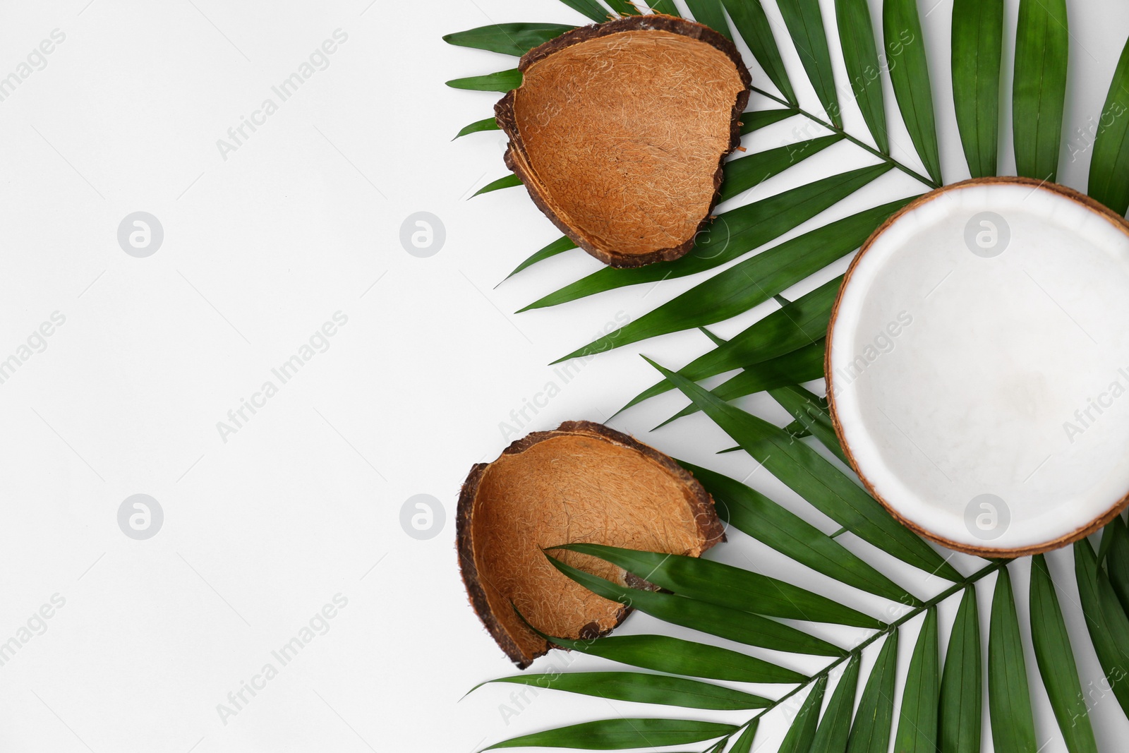 Photo of Fresh coconut and palm leaves on white background, top view