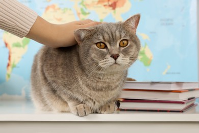 Photo of Woman stroking cat against world map, closeup. Travel with pet concept