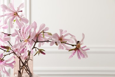 Photo of Magnolia tree branches with beautiful flowers in glass vase on white background, closeup