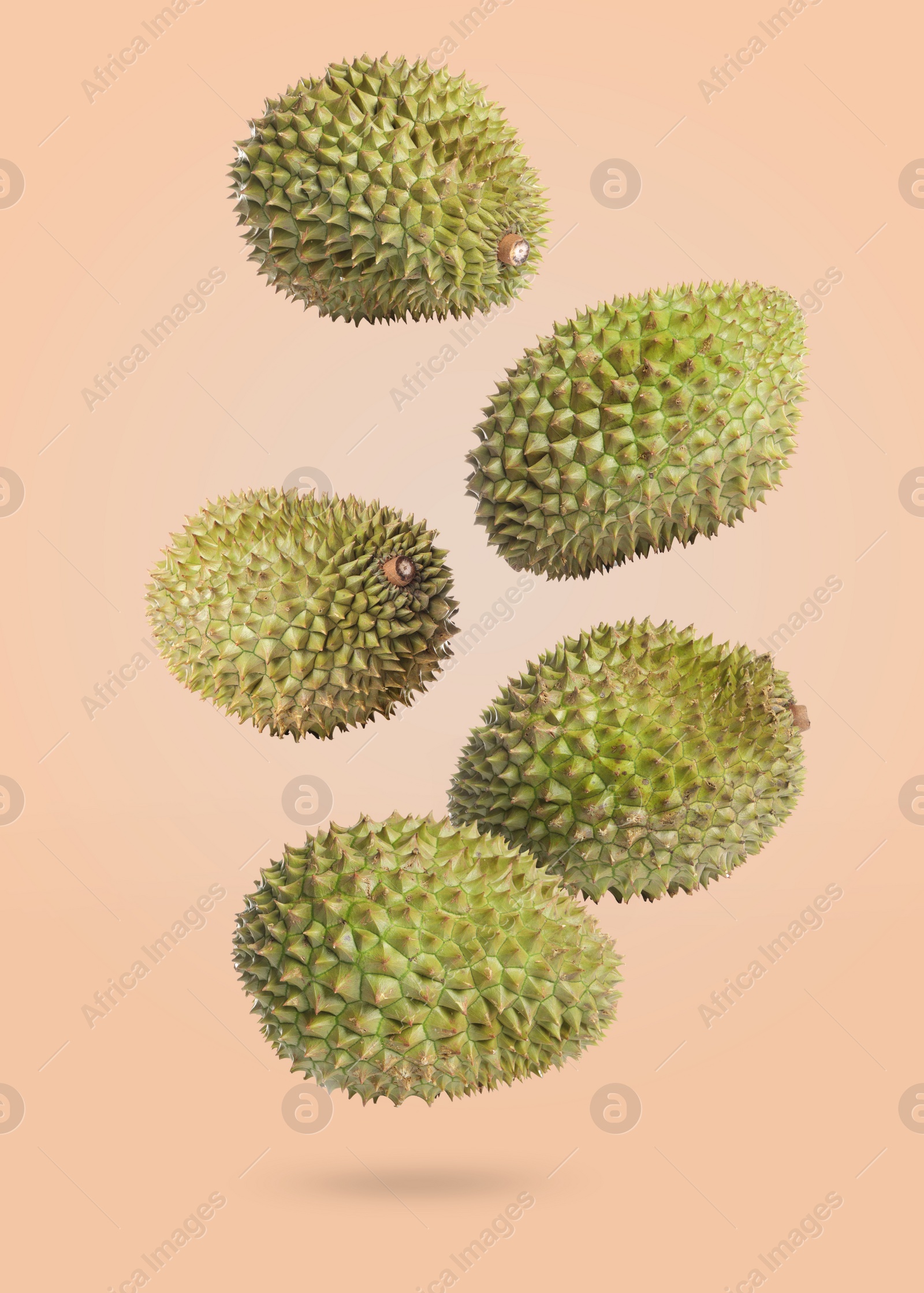 Image of Whole ripe durians falling on beige background