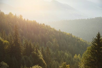 Photo of Picturesque view of mountain landscape with forest at sunrise