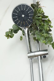 Photo of Branches with green eucalyptus leaves in shower, low angle view