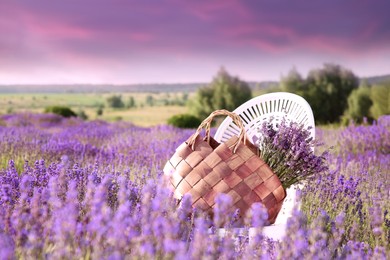 Wicker bag with beautiful lavender flowers on chair in field outdoors at sunset