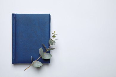 Photo of Notebook and eucalyptus on white background, top view. Color of the year 2020 (Classic blue)