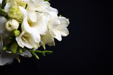 Photo of Beautiful freesia flowers on black background, closeup. Space for text