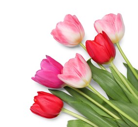 Photo of Beautiful colorful tulips on white background, top view