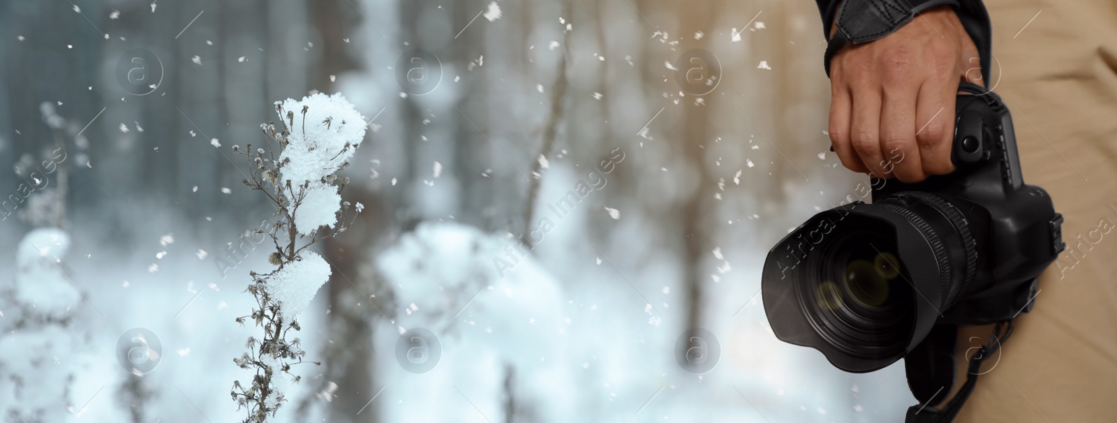 Image of Professional photographer with modern camera and blurred view of plant covered with snow, space for text. Banner design