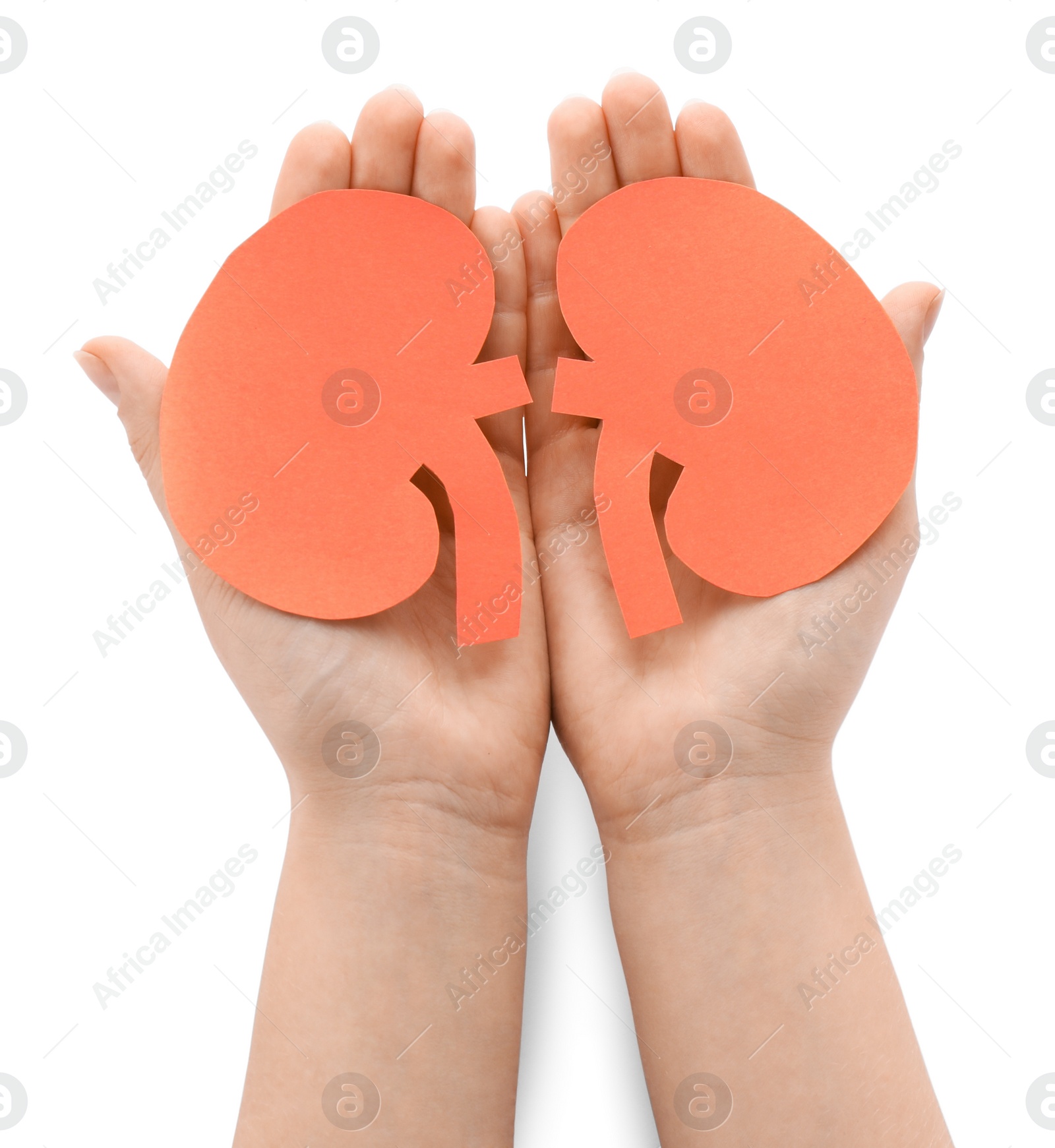 Photo of Woman holding paper cutout of kidneys on white background, top view