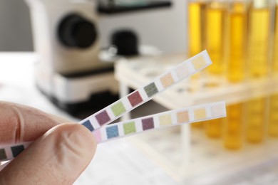 Nurse holding test strips in laboratory, closeup. Urine analysis