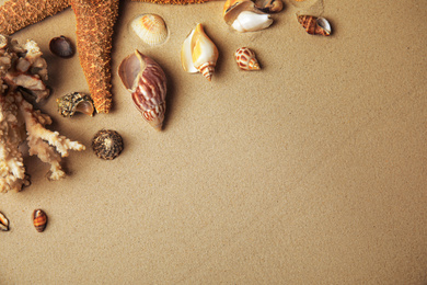 Photo of Different beautiful sea shells on sand, flat lay. Space for text