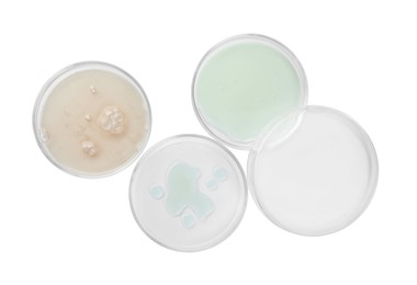 Petri dishes with different liquids on white background, top view