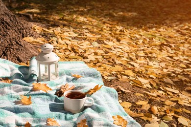 Photo of Plaid with cup of tea, cinnamon and lantern near tree in park on sunny autumn day. Space for text