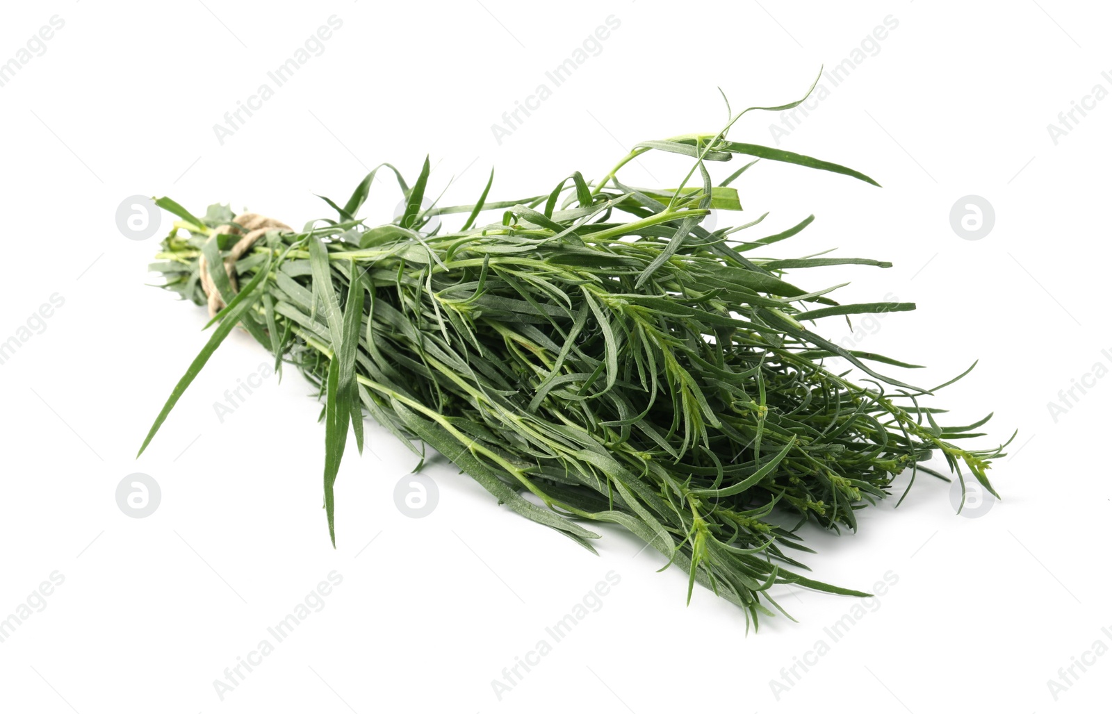 Photo of Bunch of fresh tarragon on white background