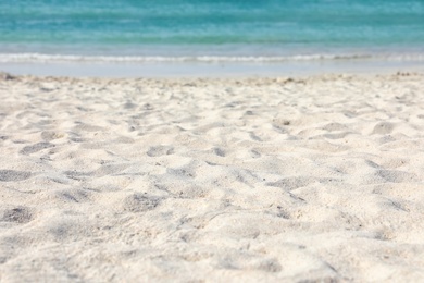 Photo of Beach with clean hot sand on sunny day