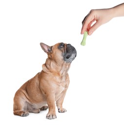 Image of Woman giving tasty bone shaped cookie to her dog on white background, closeup